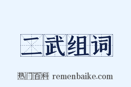 二武组词是什么意思的图片